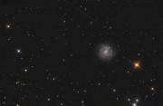 NGC3184.jpg