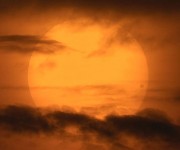 venustransit_cortner_900.jpg