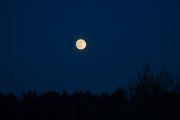 IMG_9297.jpg