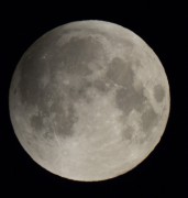 IMG_0529.jpg