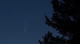 comet_2020_f3.jpg