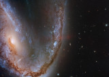 Галактика NGC 2442