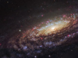 NGC7331_-_HST_-_Potw1805a.jpg