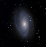 m81