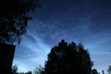 IMG_6066_i.jpg